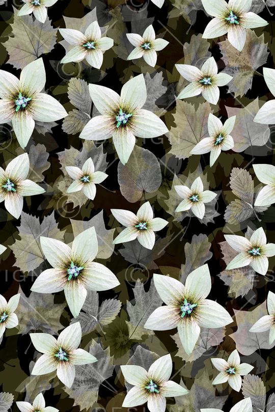 叶子印花华亿平台图片