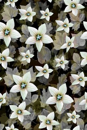 叶子印花华亿平台图片