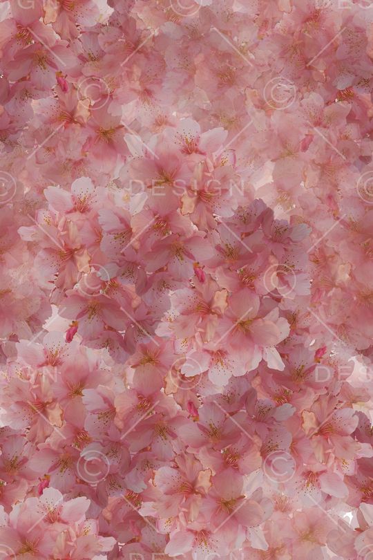 淡雅印花华亿平台图片