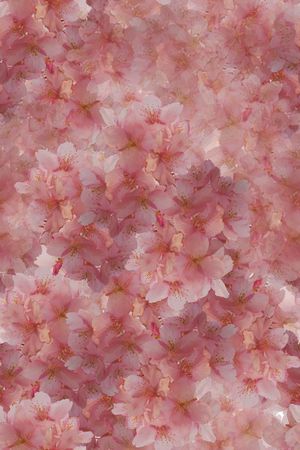 淡雅印花华亿平台图片