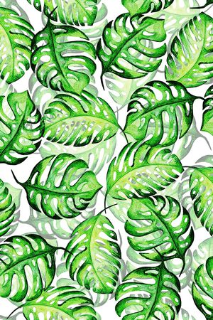 棕榈叶印花华亿平台图片