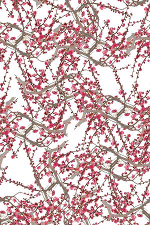 淡雅印花华亿平台图片