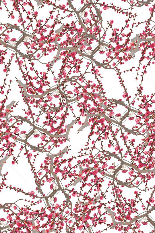 淡雅印花华亿平台图片