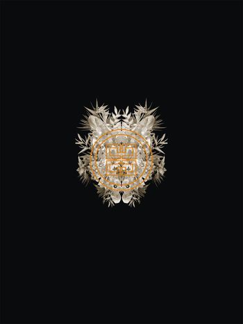 热带印花华亿平台图片