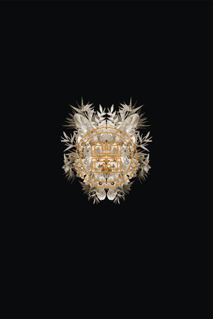 热带印花华亿平台图片