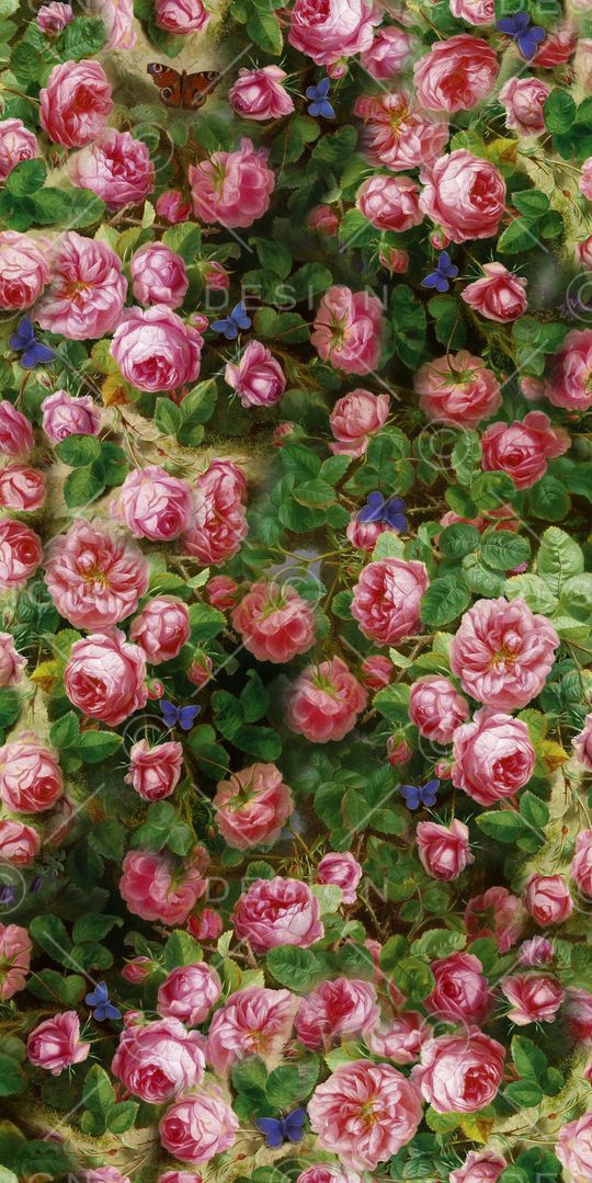 玫瑰印花华亿平台图片