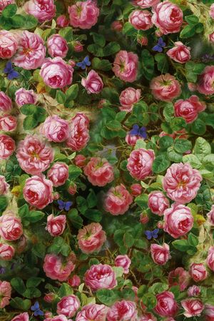 玫瑰印花华亿平台图片