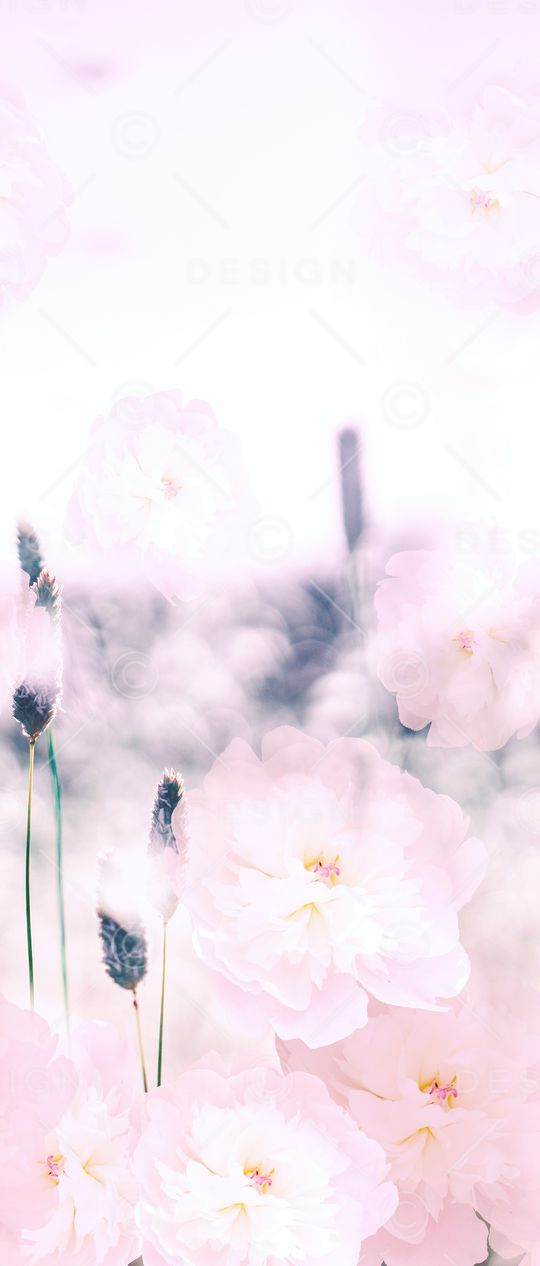 数码花卉类印花华亿平台图片