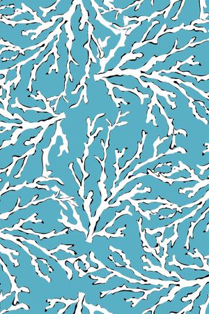 珊瑚印花华亿平台图片