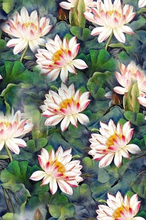 荷花印花华亿平台图片