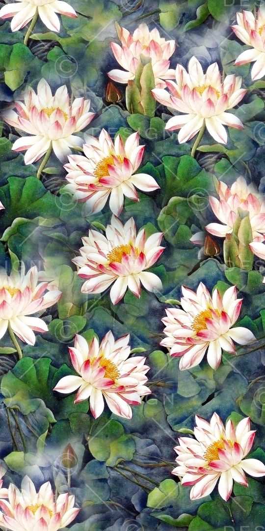 荷花印花华亿平台图片