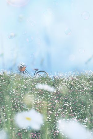 乱花印花华亿平台图片