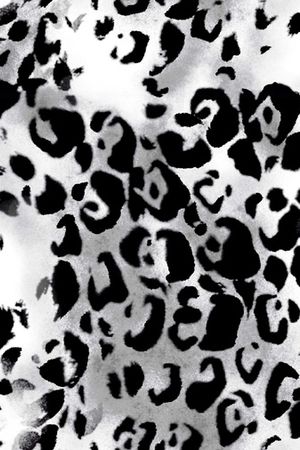 豹纹印花华亿平台图片