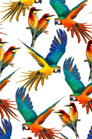 手绘鸟印花华亿平台图片