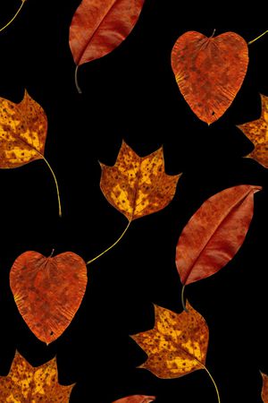 抽象手绘水彩画植物树叶数码印花印花华亿平台图片