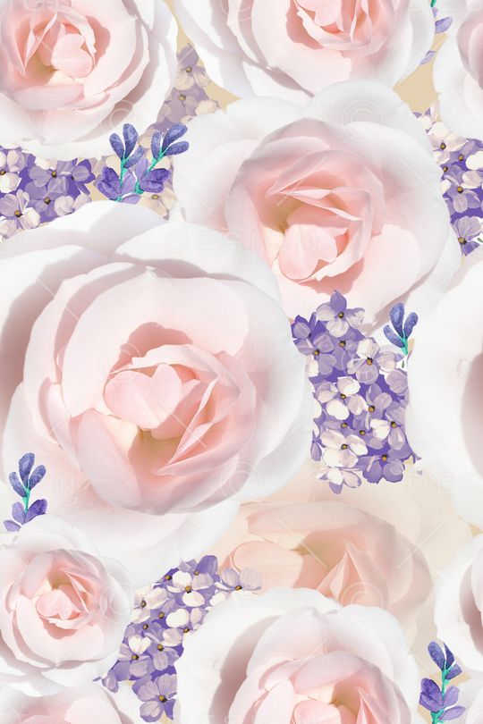 玫瑰印花华亿平台图片