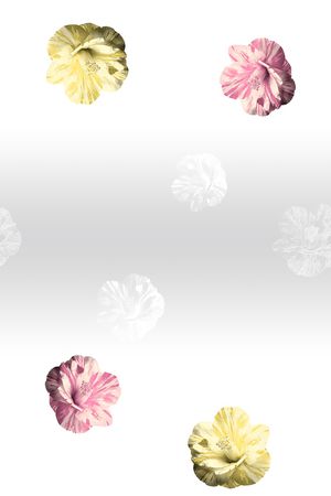 定位印花华亿平台图片