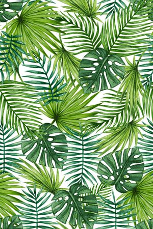 热带印花华亿平台图片