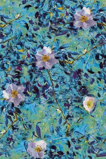 799314-wal-170305-3 (1)