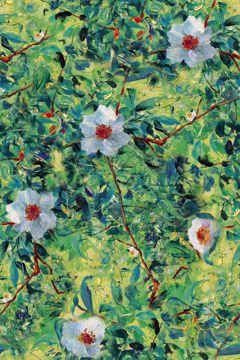 799316-wal-170305-3 (3)