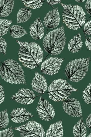 草木绿印花华亿平台图片