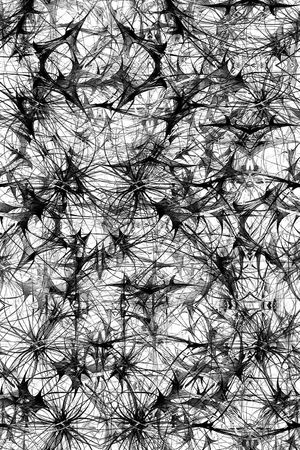 条纹印花华亿平台图片