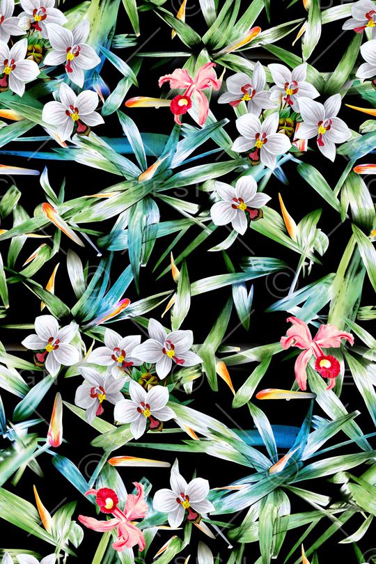 竹子印花华亿平台图片