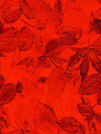 800433-特效处理素描枯叶1