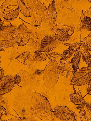 800434-特效处理素描枯叶2