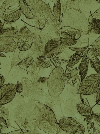 800435-特效处理素描枯叶3