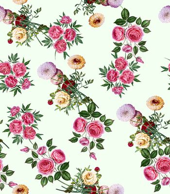 800473-真花植物玫瑰