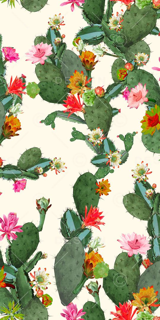 仙人掌印花华亿平台图片