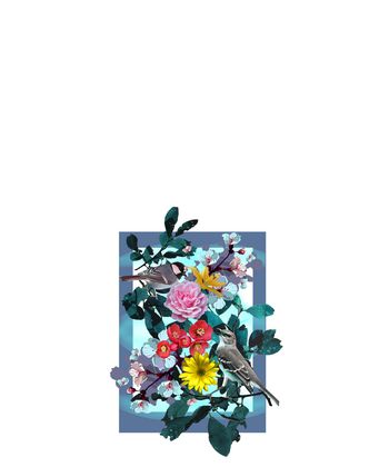 花鸟印花华亿平台图片