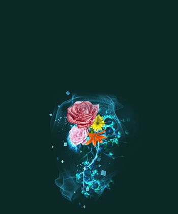 大花印花华亿平台图片