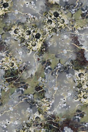 纹理印花华亿平台图片