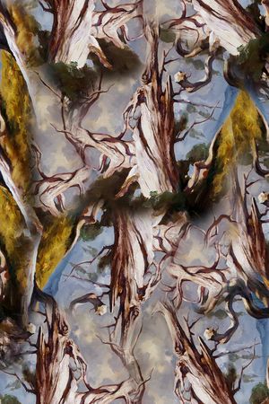 树枝印花华亿平台图片