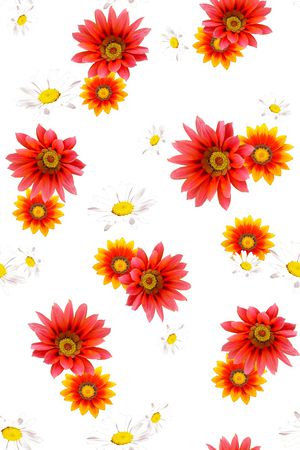 菊花印花华亿平台图片