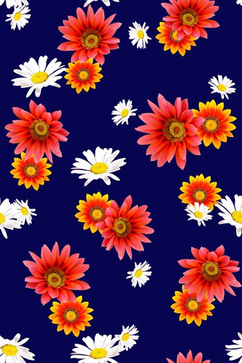 菊花印花华亿平台图片