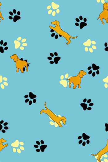 801703-狗脚印—蓝