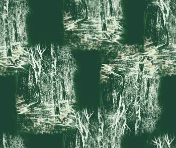 801814-抽象树林森林1