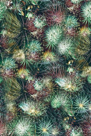 扎染印花华亿平台图片