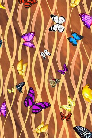 昆虫印花华亿平台图片