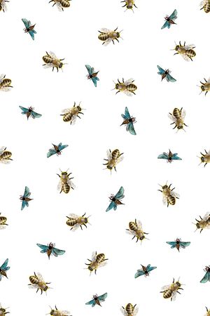 昆虫印花华亿平台图片