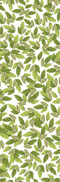 树林印花华亿平台图片