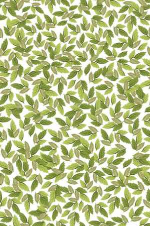 树林印花华亿平台图片