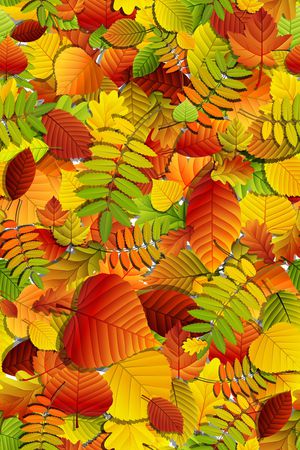 圆形印花华亿平台图片