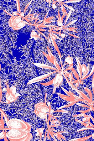 抽象印花华亿平台图片