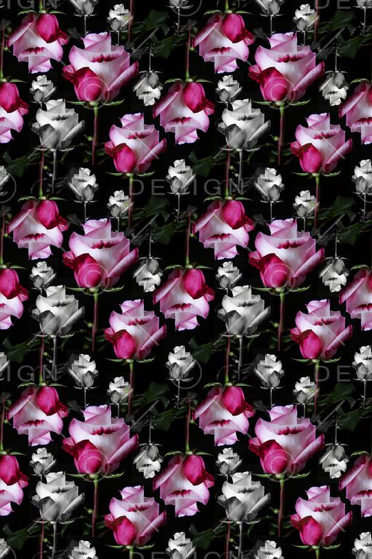 玫瑰花语印花华亿平台图片