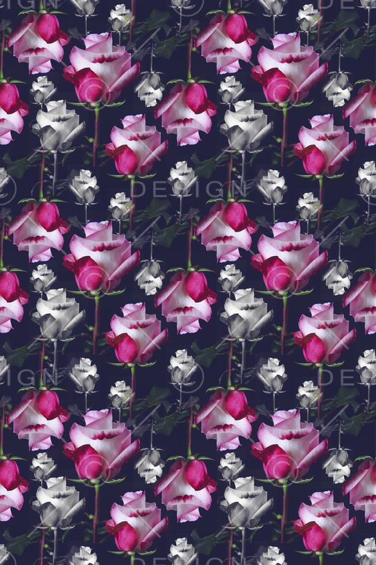 玫瑰花语印花华亿平台图片