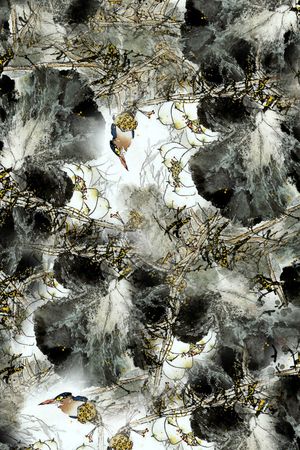 抽象鸟印花华亿平台图片